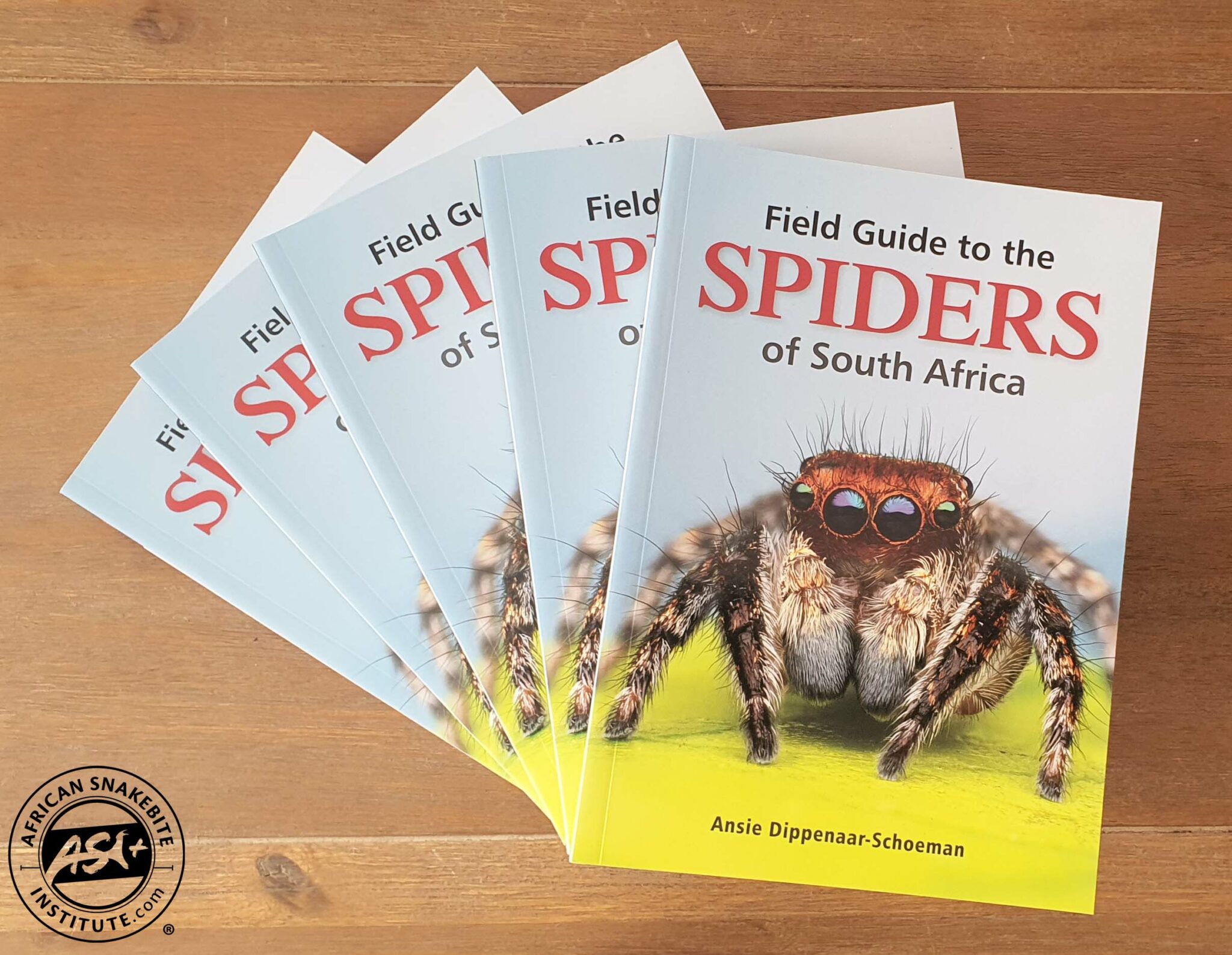 Field Guide To The Spiders Of Southern Africa African Snakebite Institute