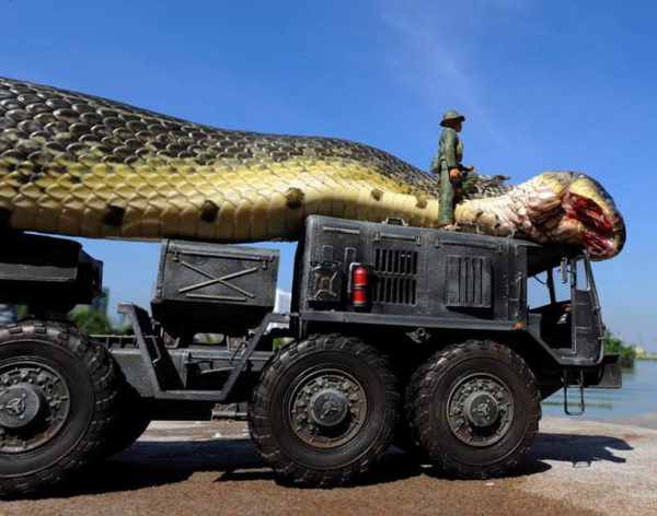 largest anaconda ever