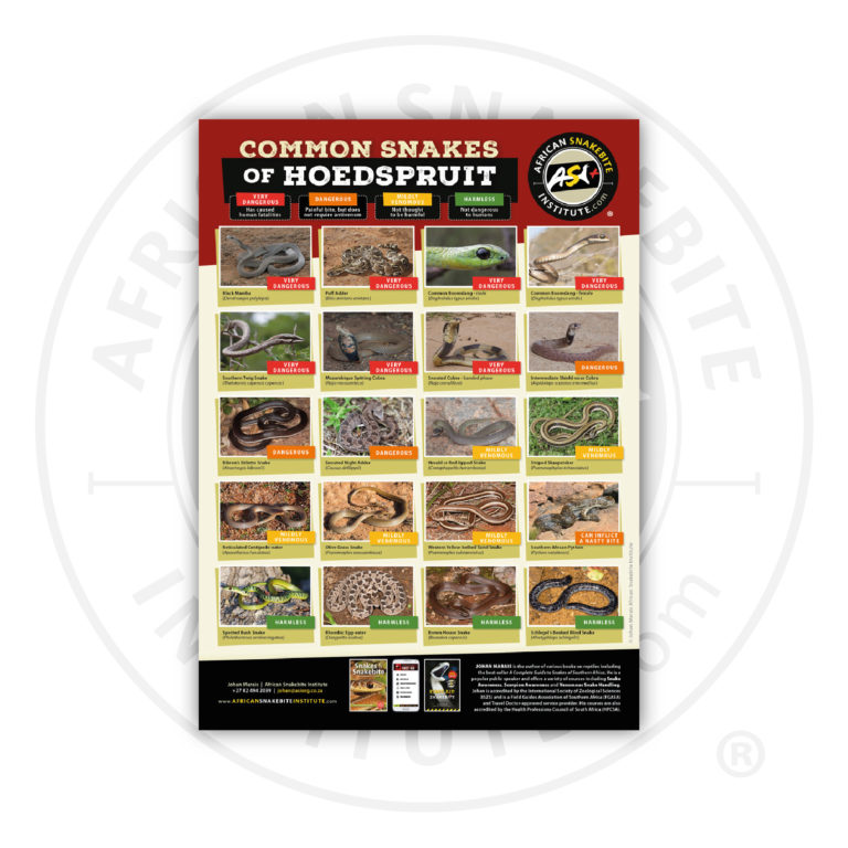 ASI Common Snakes of Hoedspruit Poster (Printed) - African Snakebite ...