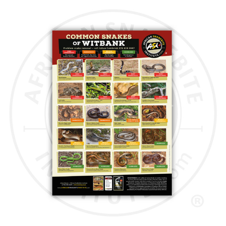 ASI Common Snakes of Witbank Poster (Printed) - African Snakebite Institute