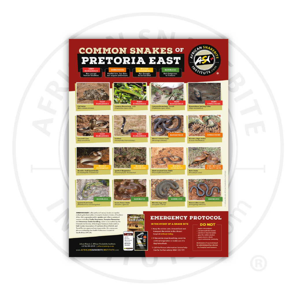 ASI Common Snakes of Pretoria East Poster (Printed) - African Snakebite ...