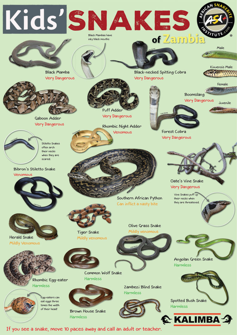 Posters - African Snakebite Institute