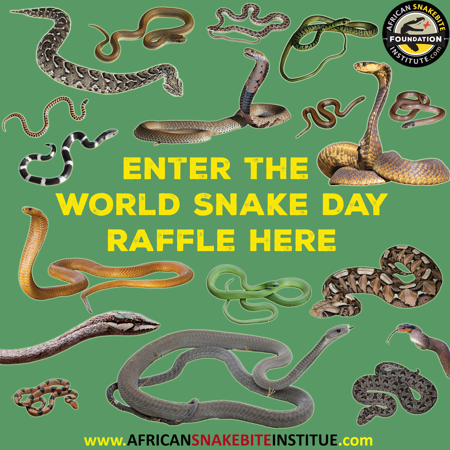 ASI Foundation World Snake Day Raffle African Snakebite Institute