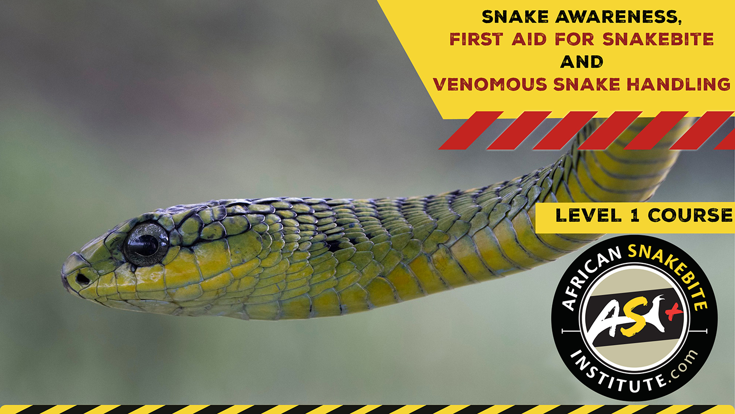 Snake Awareness & Venomous Snake Handling (Eastern Cape) - 2022-10-15