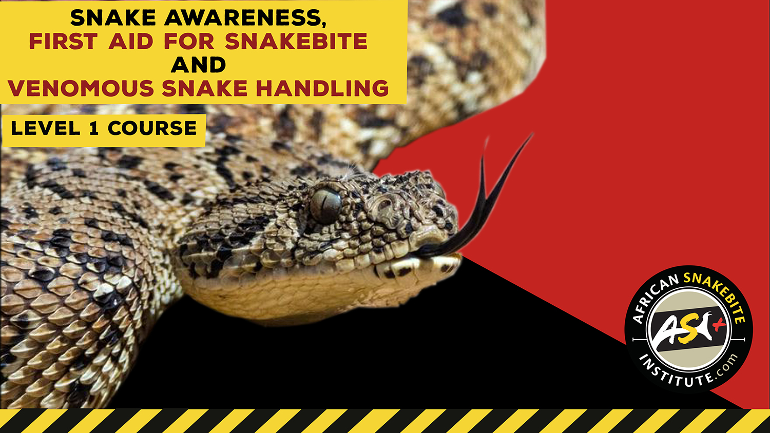 Snake Awareness & Venomous Snake Handling (Western Cape) - 2022-12-10