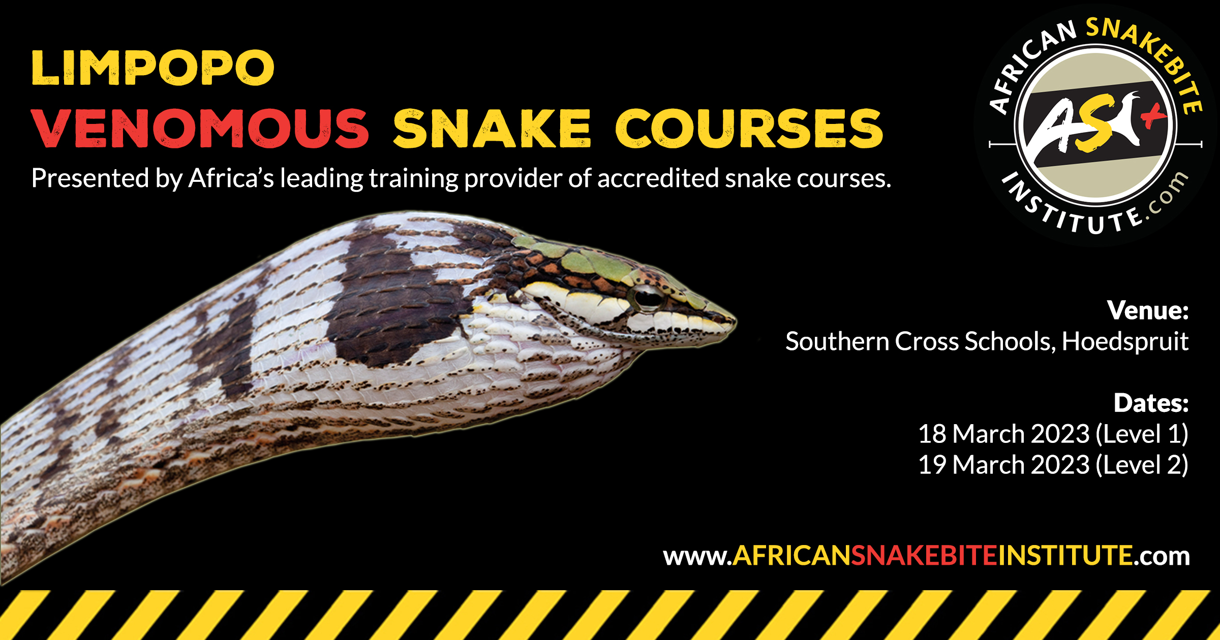 Snake Awareness & Venomous Snake Handling (Hoedspruit) 20230318