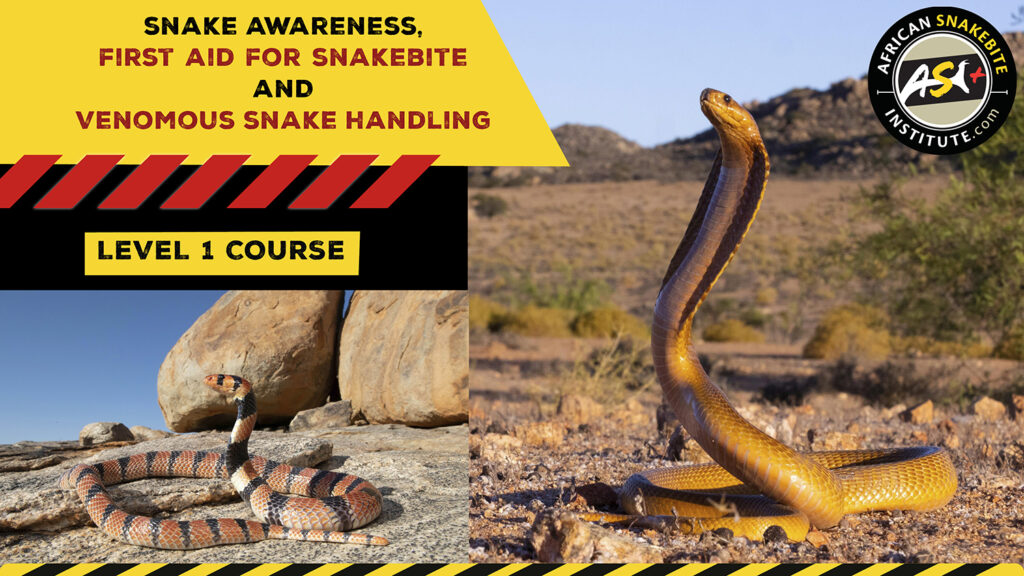 Snake Awareness & Venomous Snake Handling (Western Cape) - 2023-008-19