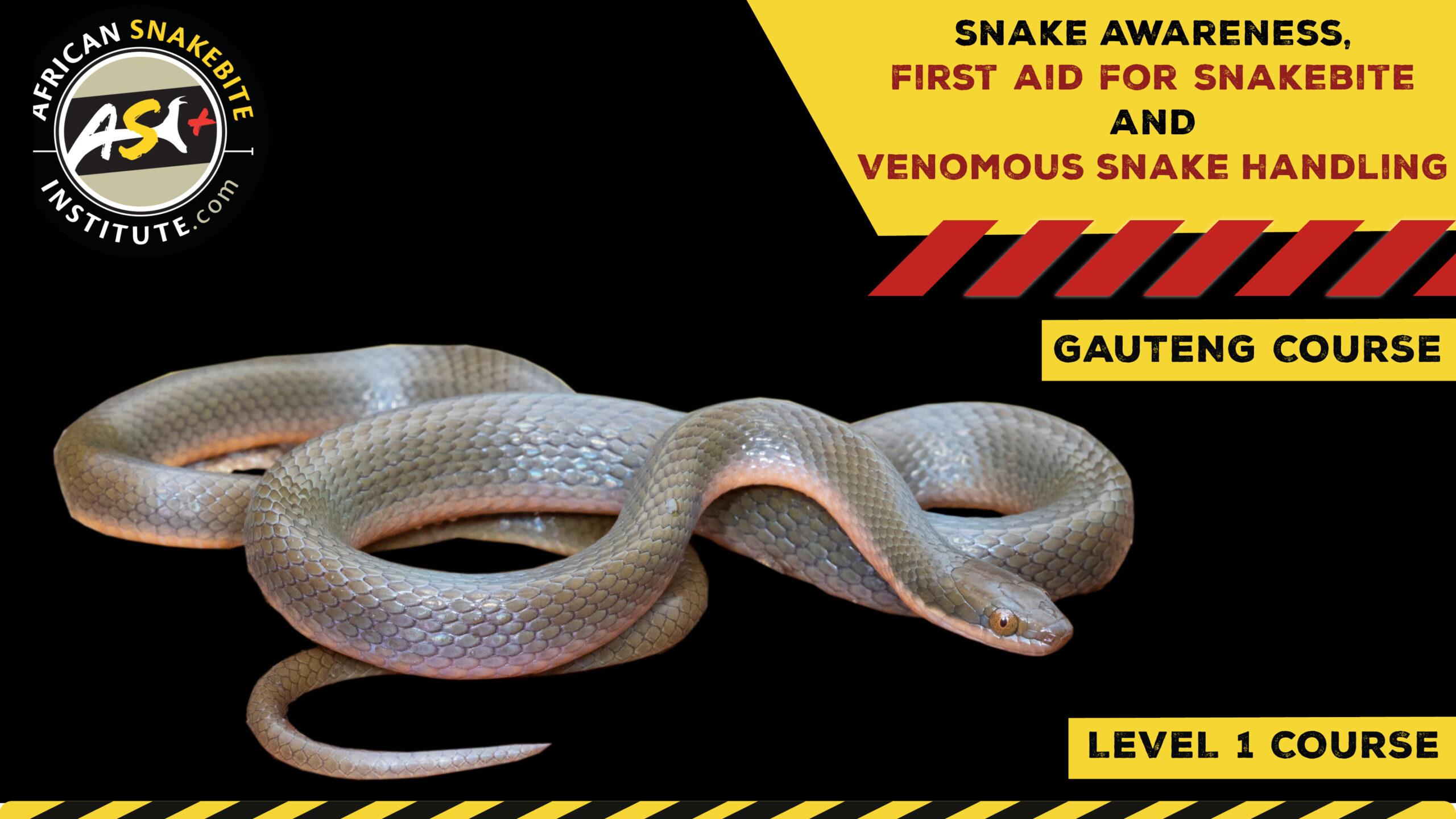 Snake Awareness & Venomous Snake Handling (Gauteng) - 2023-09-30