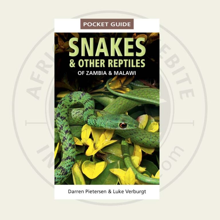 Pocket Guide Snakes & Reptiles of Zambia & Malawi - African Snakebite ...