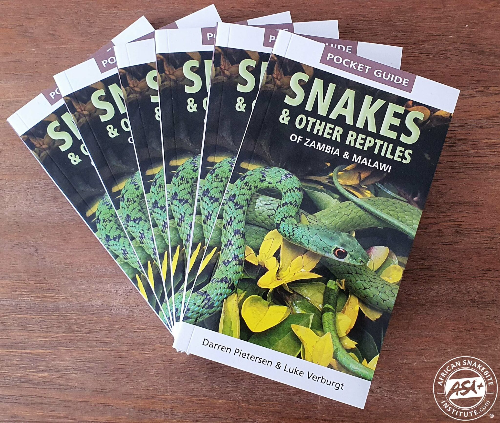 Pocket Guide Snakes & Reptiles Of Zambia & Malawi - African Snakebite ...