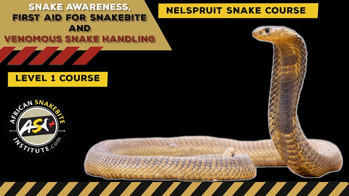 Snake Awareness & Venomous Snake Handling (Nelspruit) - 2024-06-01