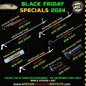 All BLACK FRIDAY Specials