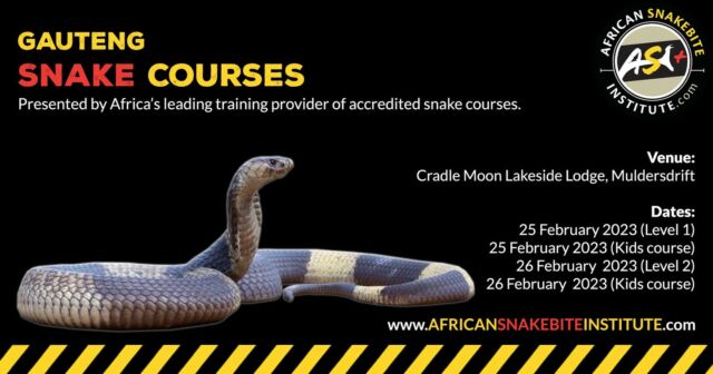 Online Course – Advanced Snake Identification → Introduction To Snake ...